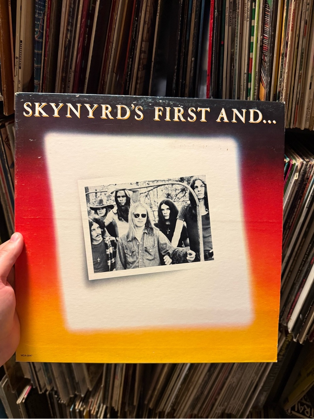 Lynyrd Skynyrd First and Last Vinyl Record